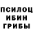 Галлюциногенные грибы Psilocybine cubensis valeriy svershok