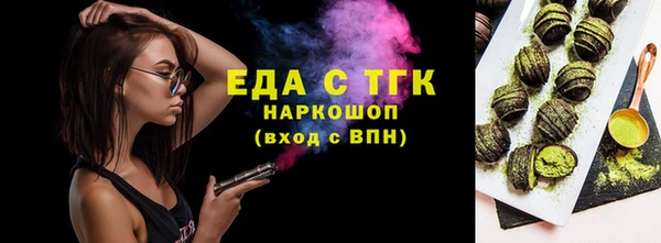 хмурый Аркадак