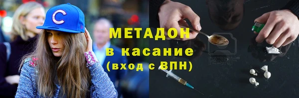 хмурый Аркадак