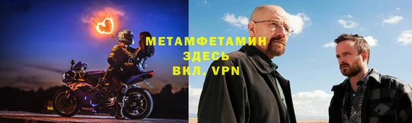 хмурый Аркадак