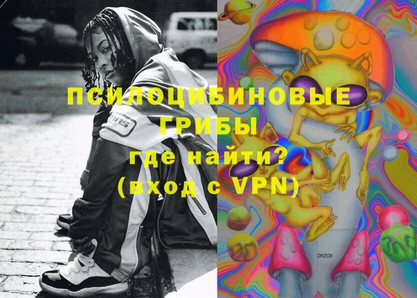 прущая мука Арсеньев