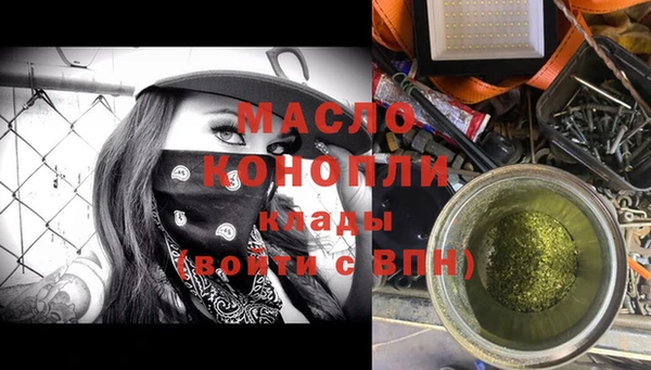 хмурый Аркадак