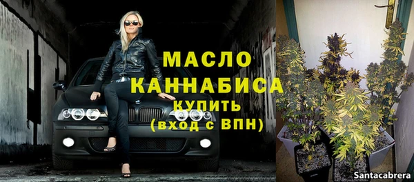 хмурый Аркадак