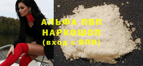 хмурый Аркадак