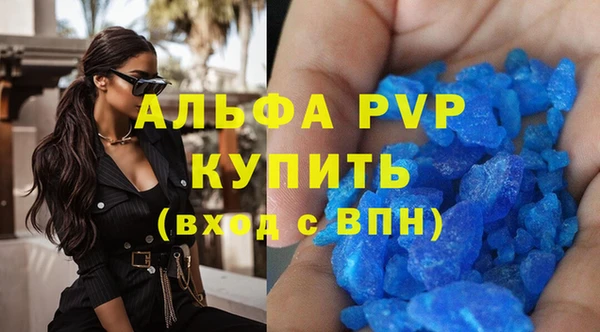 хмурый Аркадак