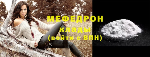 хмурый Аркадак