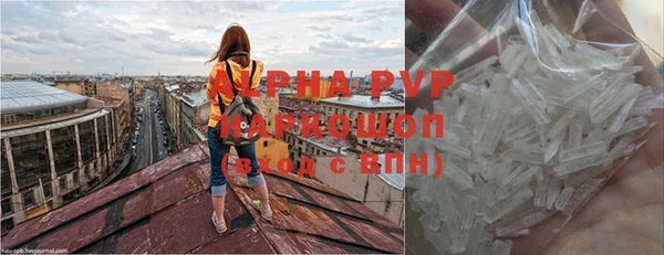 хмурый Аркадак