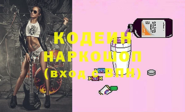 хмурый Аркадак