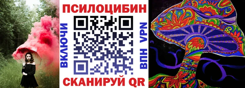 наркошоп  Артёмовский  Псилоцибиновые грибы Psilocybe 